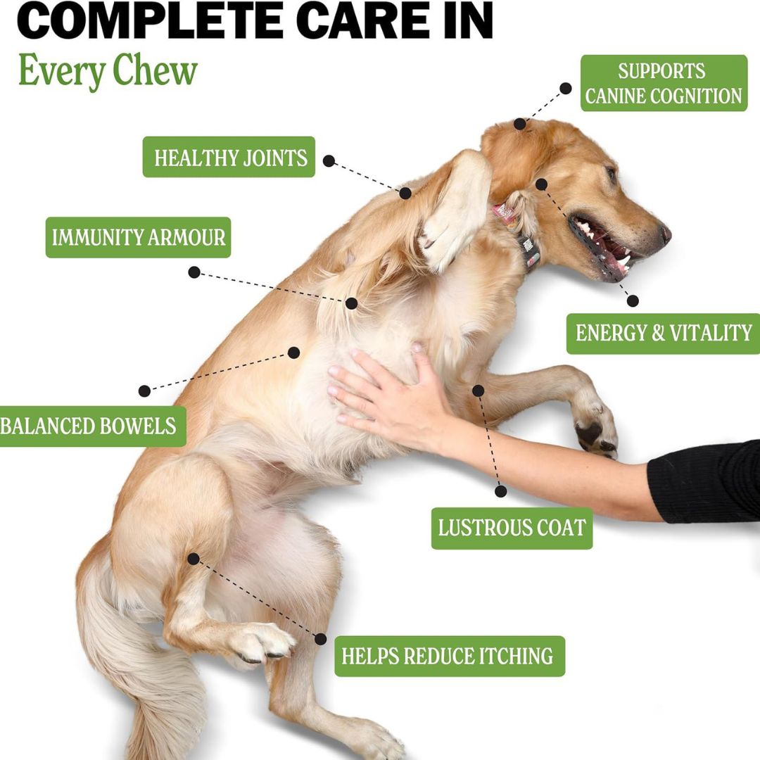 Upagain™ Hip & Joint Chews
