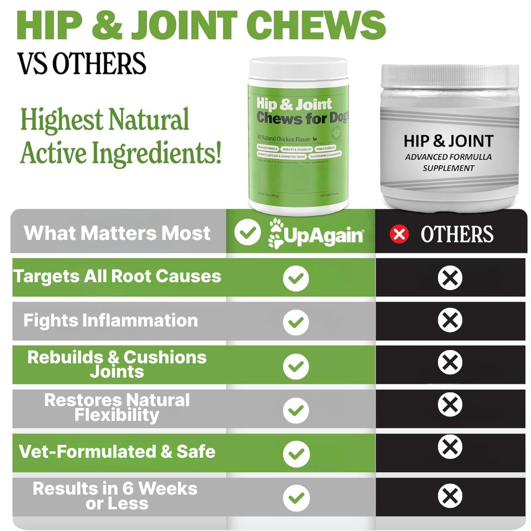 Upagain™ Hip & Joint Chews